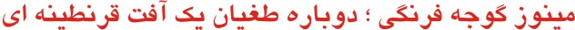 titr tuta page text