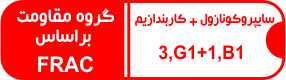 گروه مقاومت