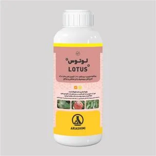 Lotus