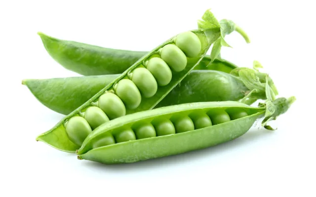 لوبیا و نخودفرنگی