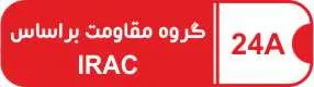 IRAC4A copy