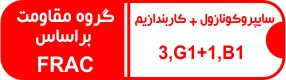 گروه مقاومت