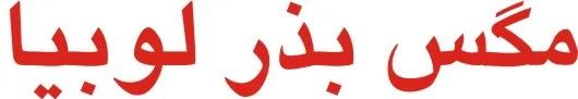delia logo