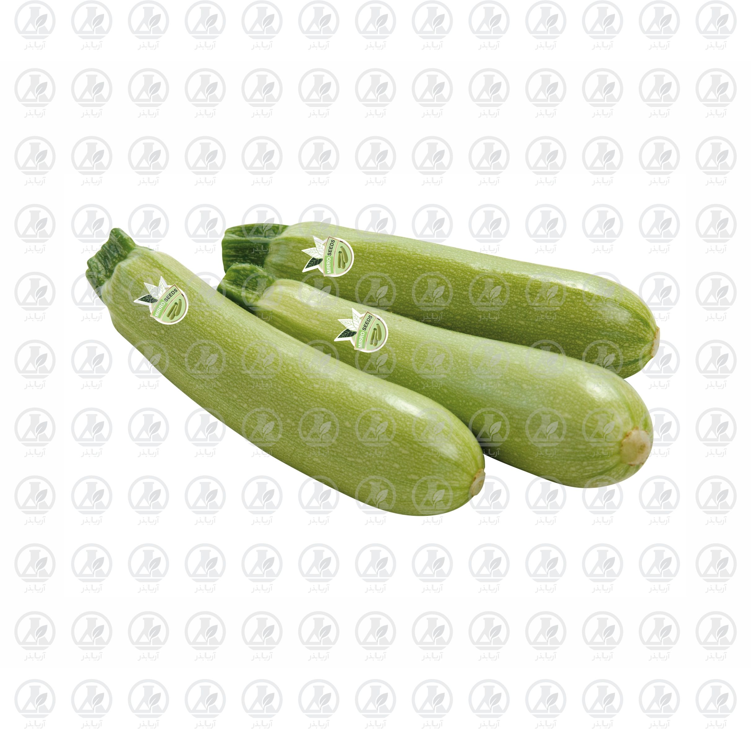 کدو